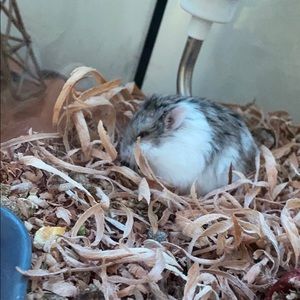 Meet your Posher, London